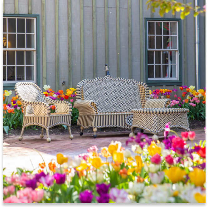 visit us at home in Aurora, NY